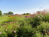img0020.jpg