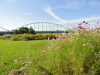 img0021.jpg