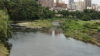 img0003.jpg