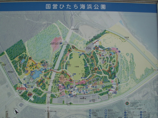 img0003.jpg
