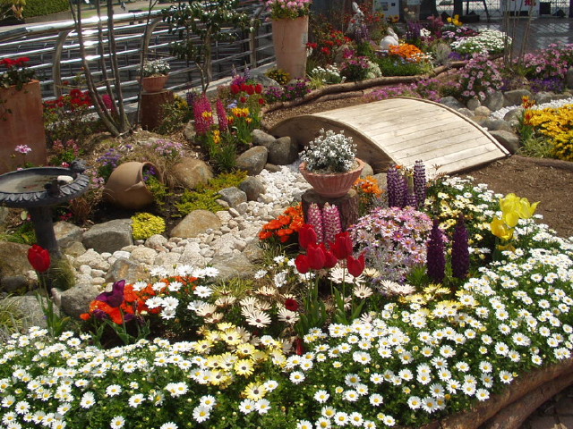 img0004.jpg
