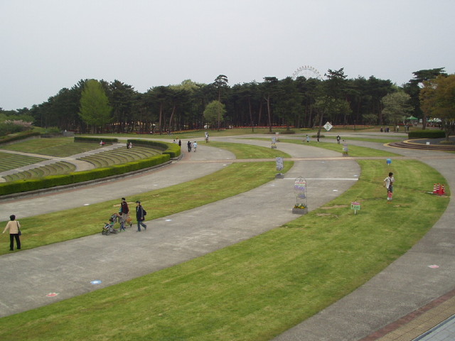 img0008.jpg