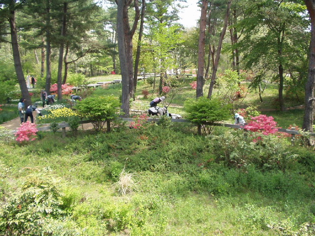 img0010.jpg