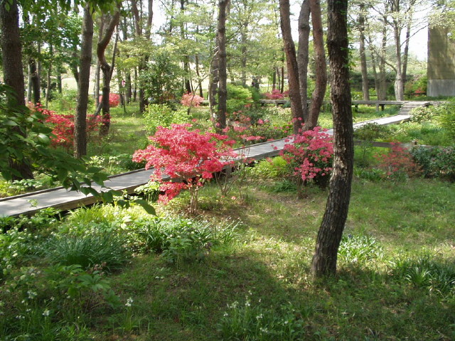img0012.jpg