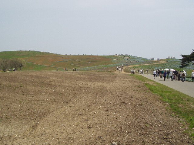 img0013.jpg