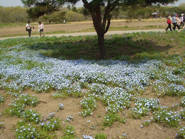 img0014.jpg