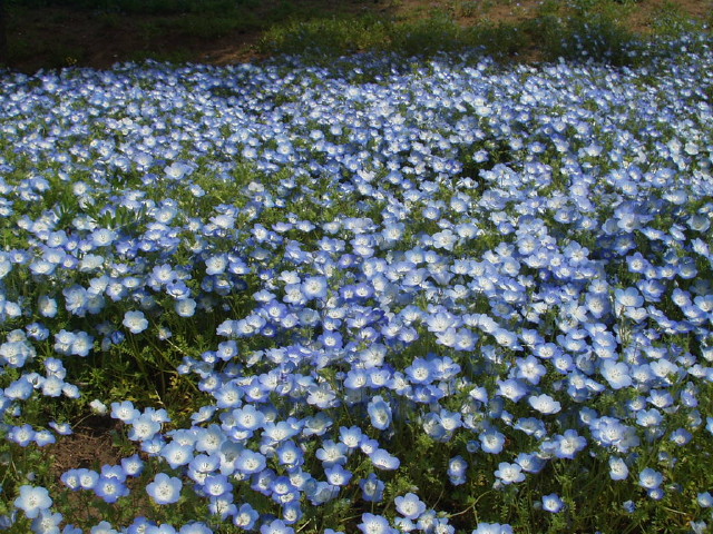 img0015.jpg