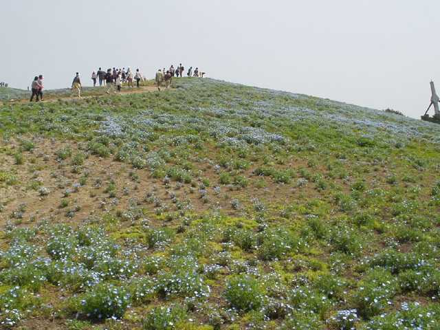 img0016.jpg