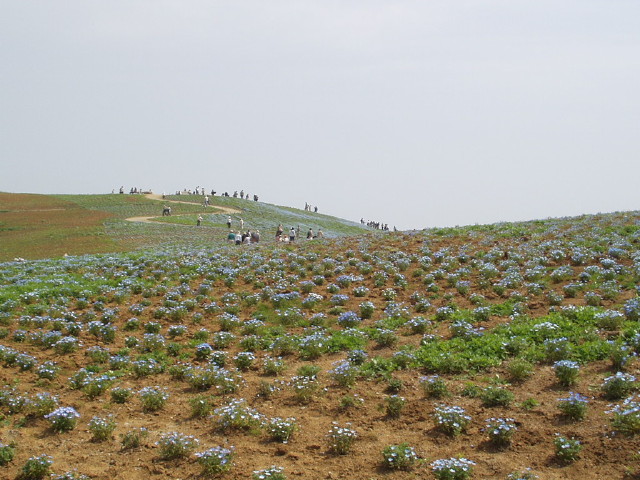 img0017.jpg