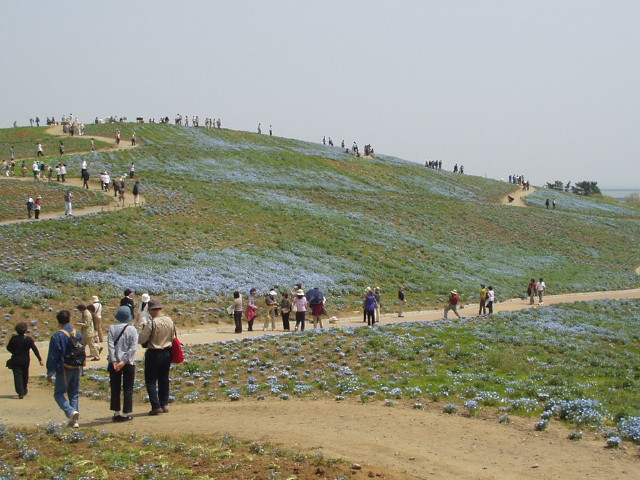 img0018.jpg