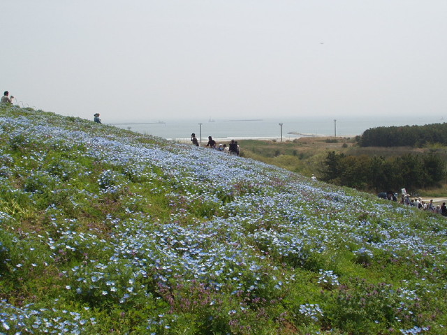 img0019.jpg