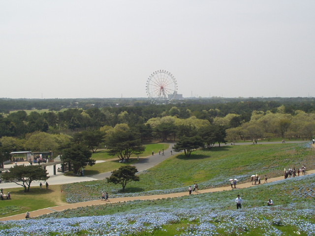 img0020.jpg