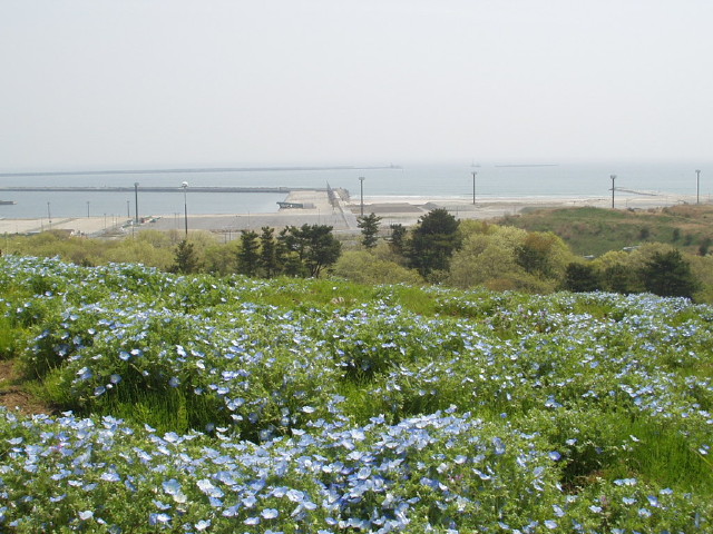img0022.jpg