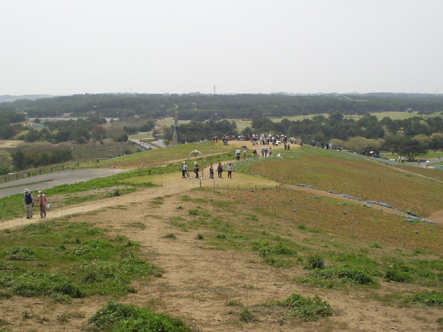 img0024.jpg
