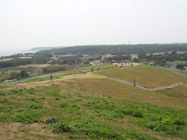 img0028.jpg