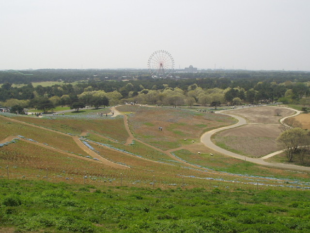 img0029.jpg