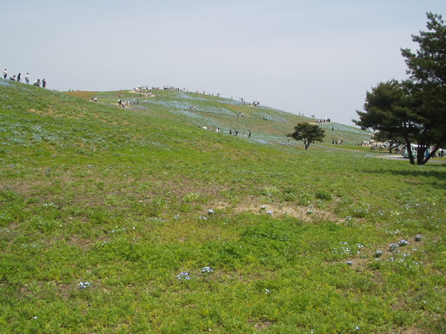 img0032.jpg