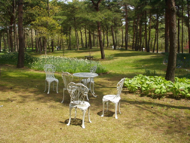 img0033.jpg