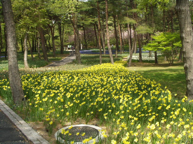 img0035.jpg