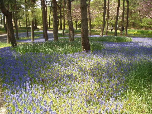 img0038.jpg