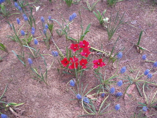 img0040.jpg