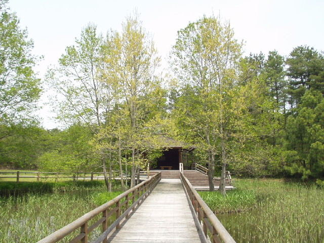 img0043.jpg