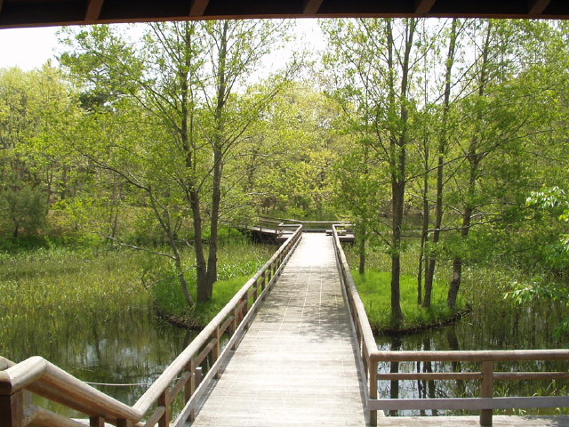 img0045.jpg