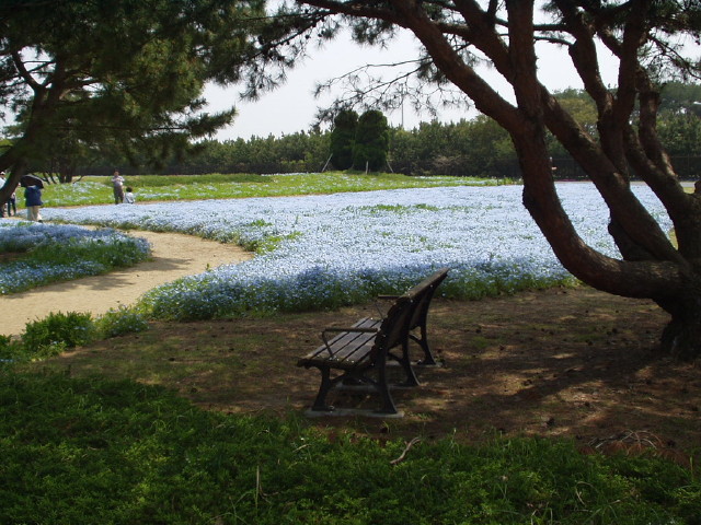 img0048.jpg