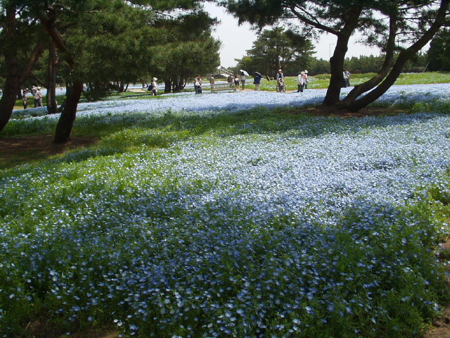 img0049.jpg