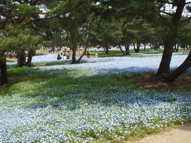 img0051.jpg