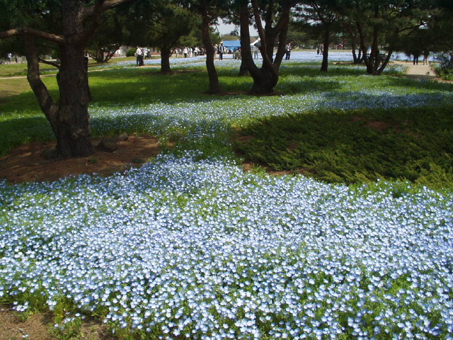 img0052.jpg