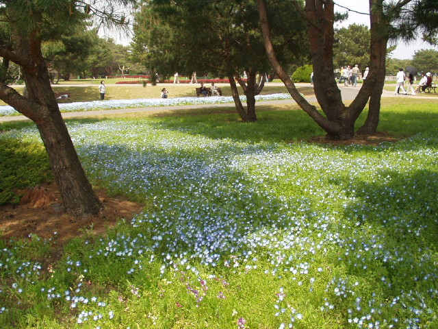 img0053.jpg