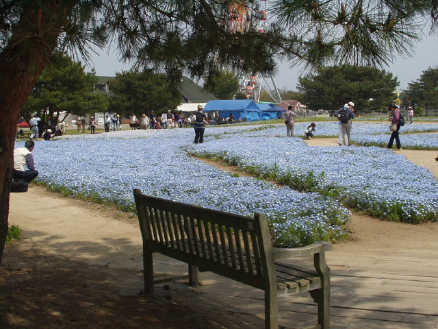 img0055.jpg