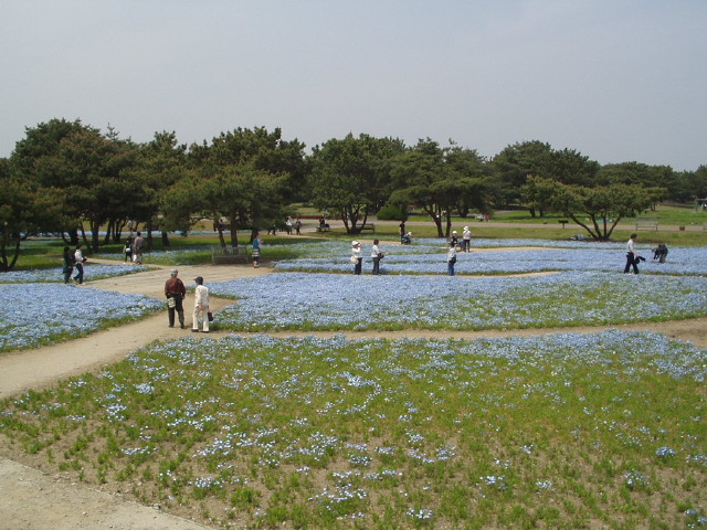 img0056.jpg