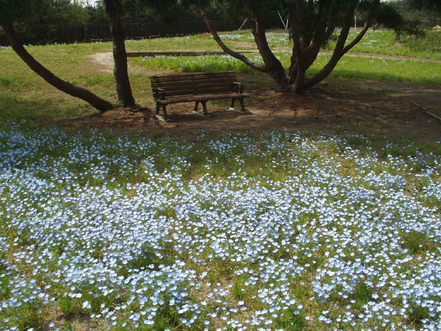 img0057.jpg