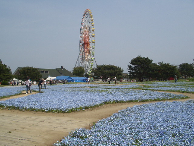 img0058.jpg