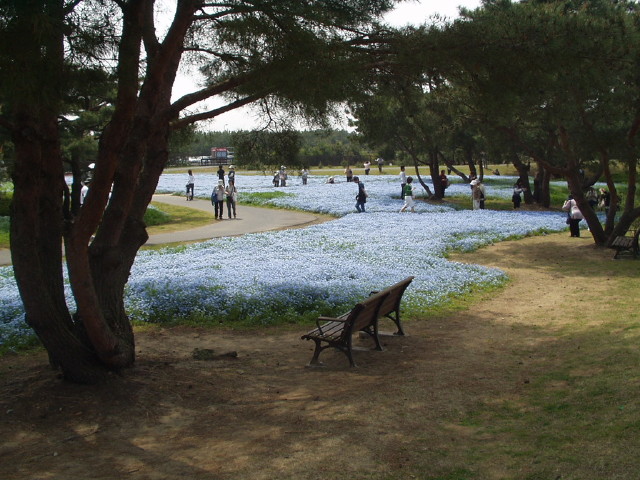 img0059.jpg