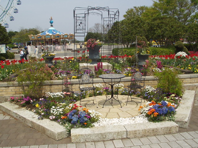 img0061.jpg