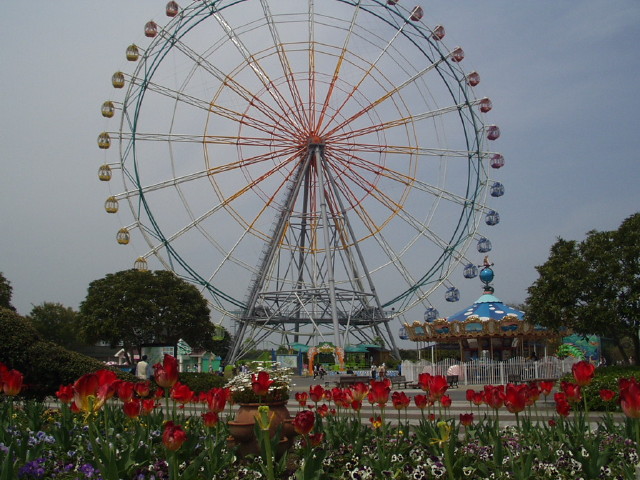 img0062.jpg