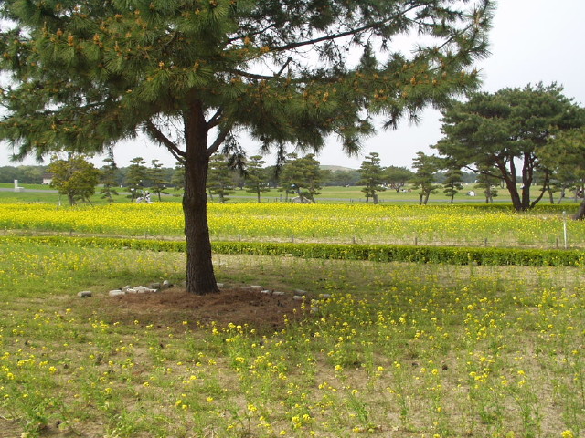 img0063.jpg