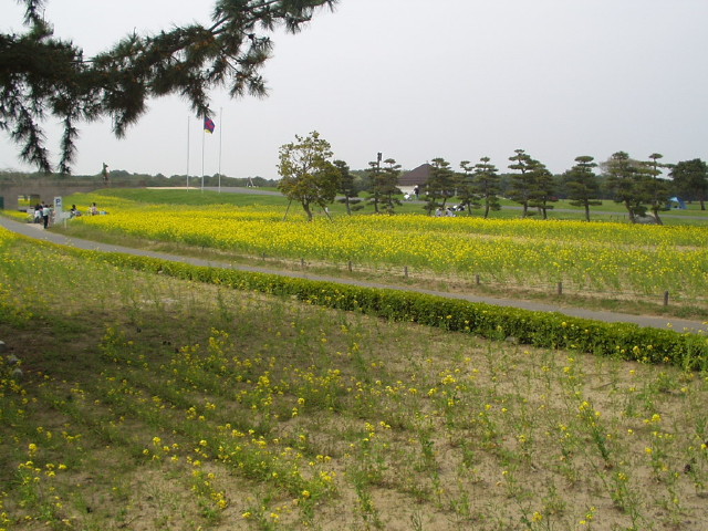 img0064.jpg