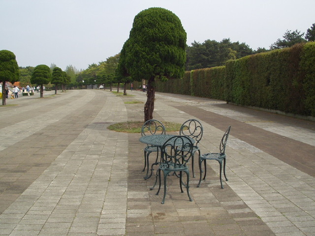 img0068.jpg