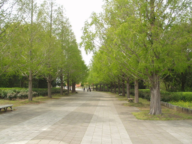 img0069.jpg