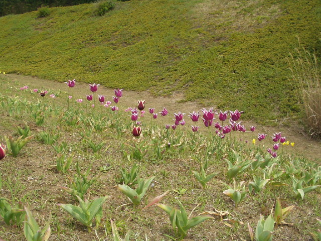 img0070.jpg