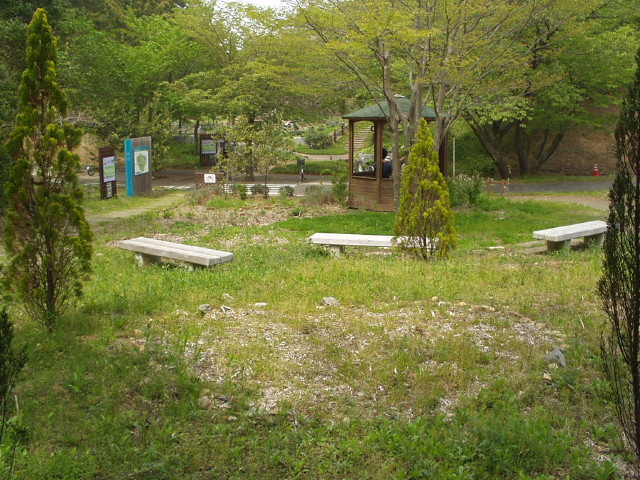 img0071.jpg