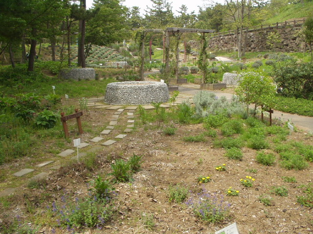 img0072.jpg