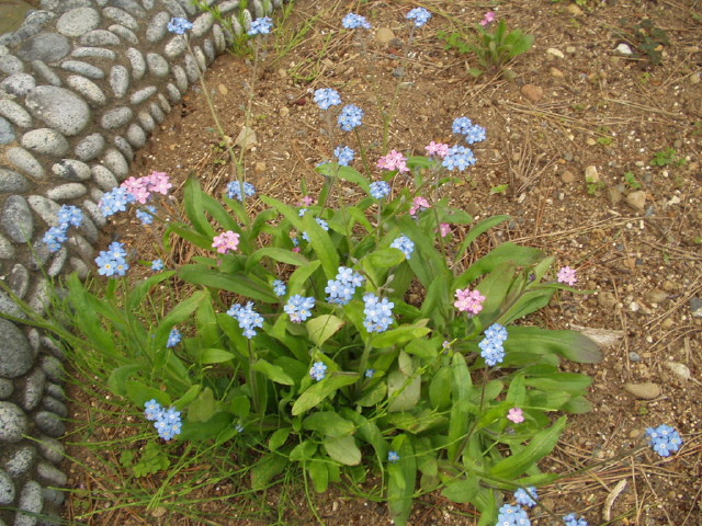 img0073.jpg