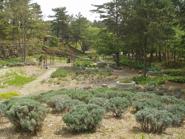 img0074.jpg
