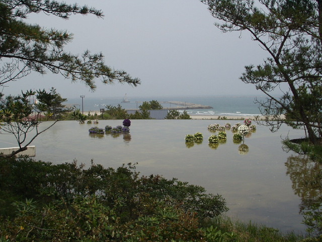 img0077.jpg