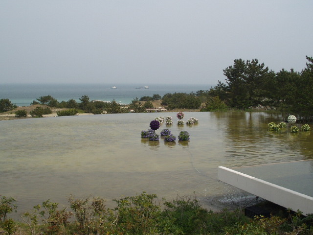 img0079.jpg